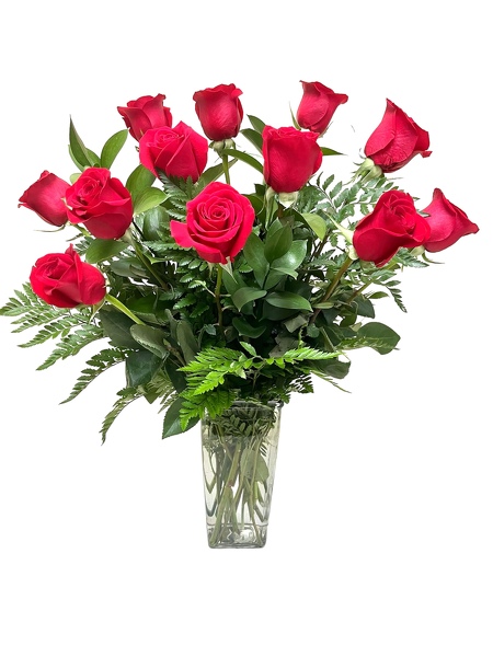 Classic Dozen Roses - Choice of Color